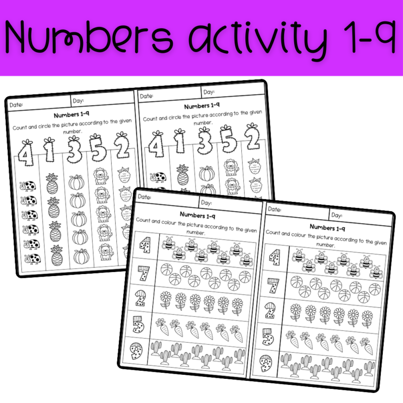 Numbers Activity