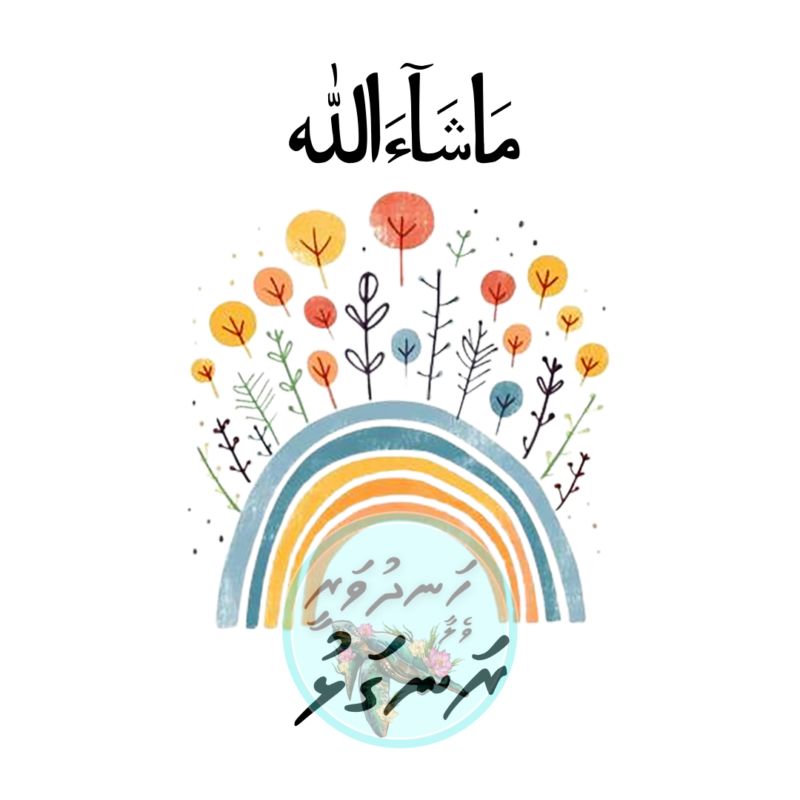 11 Dhivehi Sticker Roll Design - 1