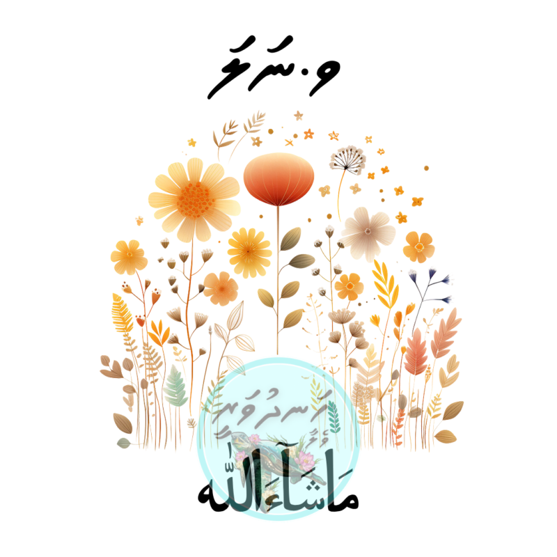 15 Dhivehi Sticker Roll Design - 1