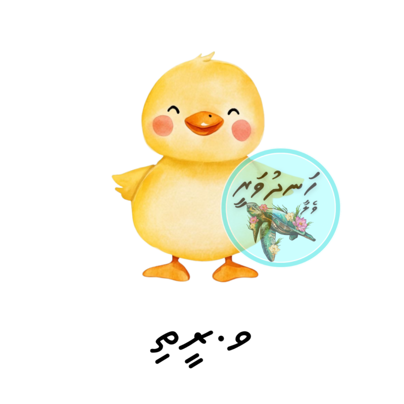 Dhivehi Sticker Roll Design - 4