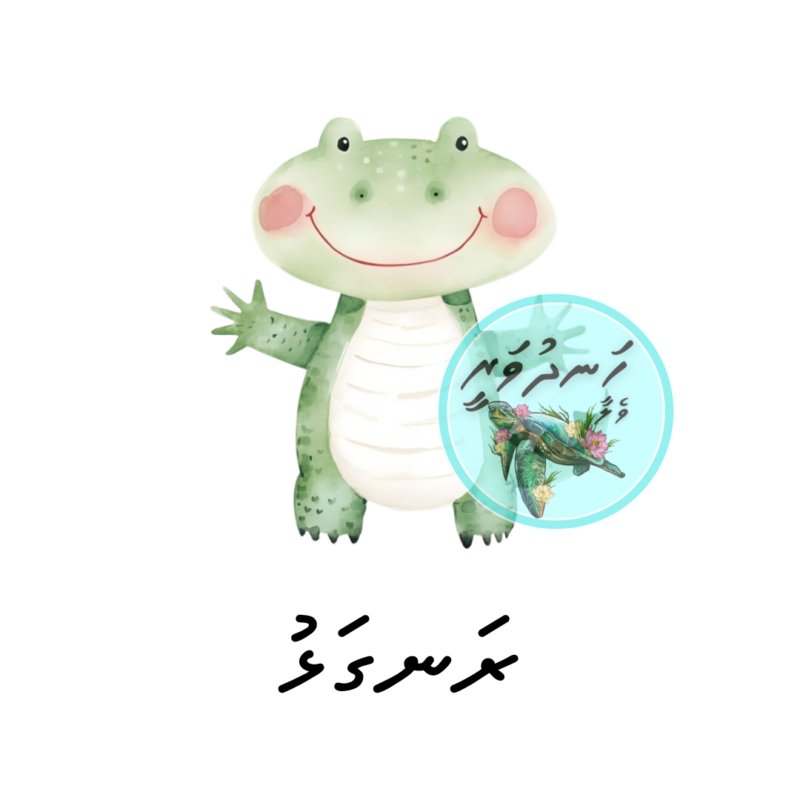 Dhivehi Sticker Roll Design - 4