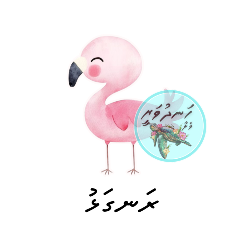 Dhivehi Sticker Roll Design - 4
