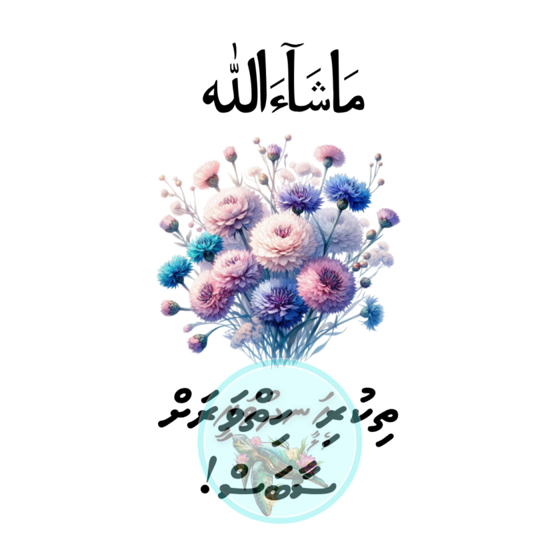 Dhivehi Sticker Roll Design - 3