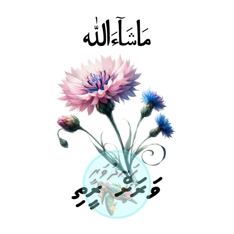 Dhivehi Sticker Roll Design - 3