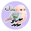 100 Dhivehi Sticker Roll Design - 15
