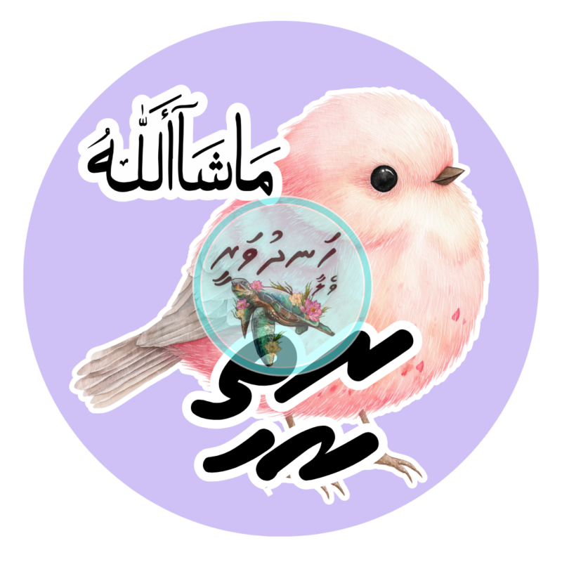 100 Dhivehi Sticker Roll Design - 15