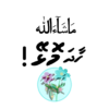 Dhivehi Sticker Sheets - 2