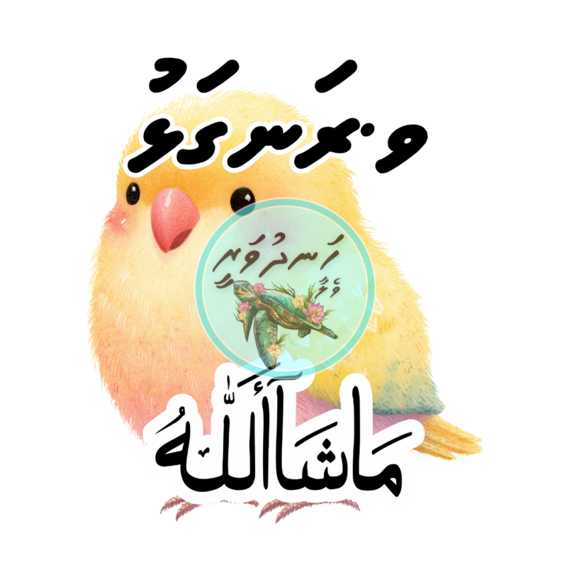 Dhivehi Sticker Roll Design - 12 (Cute Birds)