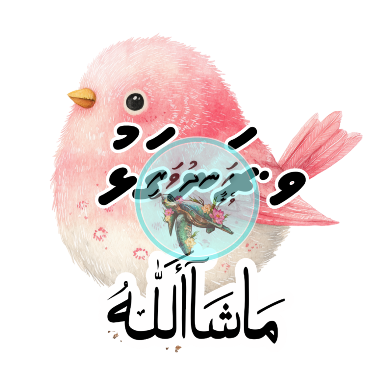 Dhivehi Sticker Roll Design - 12 (Cute Birds)