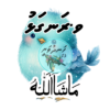 Dhivehi Sticker Roll Design - 12 (Cute Birds)