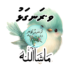Dhivehi Sticker Roll Design - 12 (Cute Birds)