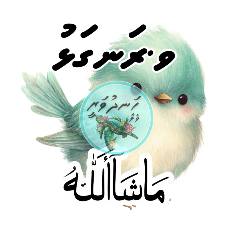 Dhivehi Sticker Roll Design - 12 (Cute Birds)