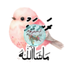 Dhivehi Sticker Roll Design - 12 (Cute Birds)
