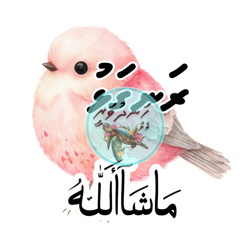 Dhivehi Sticker Roll Design - 12 (Cute Birds)