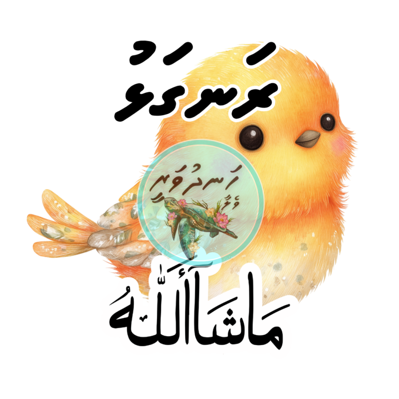 Dhivehi Sticker Roll Design - 12 (Cute Birds)