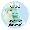 Dhivehi Sticker Roll Design - 13 (Cute Birds)