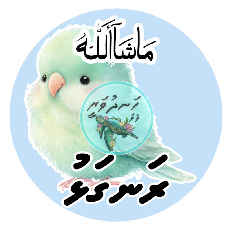 Dhivehi Sticker Roll Design - 13 (Cute Birds)