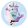 Dhivehi Sticker Roll Design - 13 (Cute Birds)