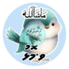 Dhivehi Sticker Roll Design - 13 (Cute Birds)
