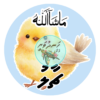 Dhivehi Sticker Roll Design - 13 (Cute Birds)