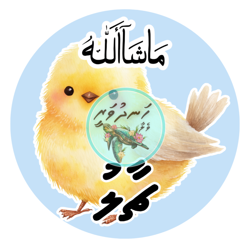 Dhivehi Sticker Roll Design - 13 (Cute Birds)