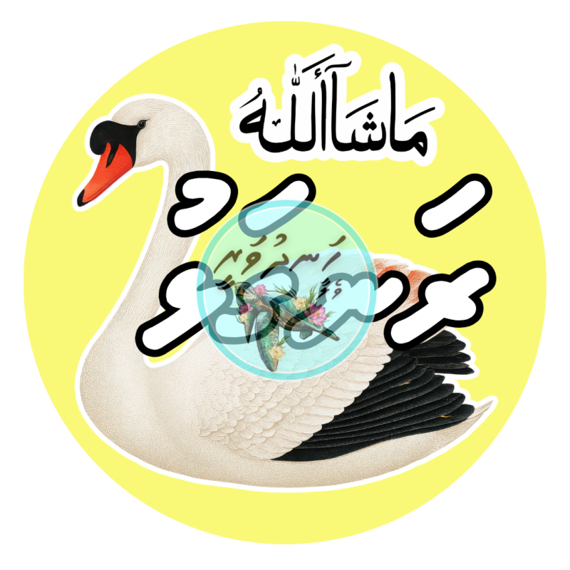 Dhivehi Sticker Roll Design - 14 (Birds)