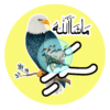 Dhivehi Sticker Roll Design - 14 (Birds)