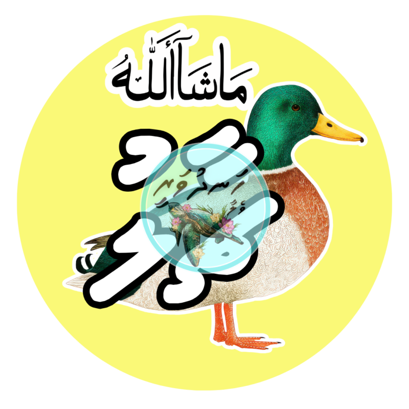 Dhivehi Sticker Roll Design - 14 (Birds)
