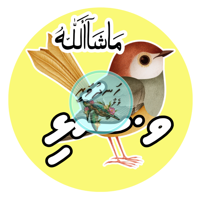 Dhivehi Sticker Roll Design - 14 (Birds)