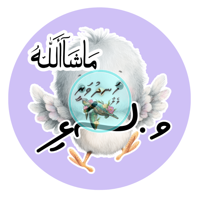 91 Dhivehi Sticker Roll Design - 15